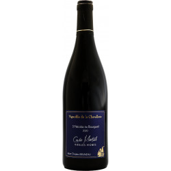 Saint Nicolas de Bourgueil 2020 - Cuvée Martial -  Vignoble de la Chevallerie - 75cl