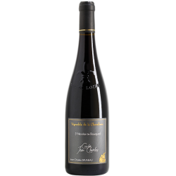 Saint Nicolas de Bourgueil 2020 - Cuvée Jean-Charles -  Vignoble de la Chevallerie - 75cl