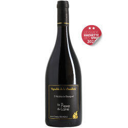 Saint-Nicolas de Bourgueil - Cuvée la Pierre du Lane 2019 -  Vignoble de la Chevallerie - 75cl