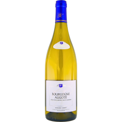 Bourgogne Aligoté 2020 - Domaine Verret - 75cl
