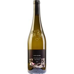 Cuvée "Storia Di Truvigna" Blanc 2019 - Clos Culombu - 75cl
