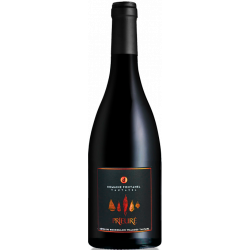 Tautavel Rouge 2019 - Cuvée "Prieuré" - Domaine Fontanel - 75cl