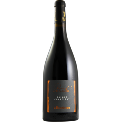 Saumur Champigny 2018 "L'Excellence" -  Domaine La Bonnelière - 75cl