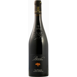 Saumur Champigny 2019 "Cuvée Les Poyeux" -  Domaine La Bonnelière - 75cl