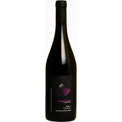 Saumur Champigny 2021 "85/15 Pineau d'Aunis" -  Domaine La Bonnelière - 75cl