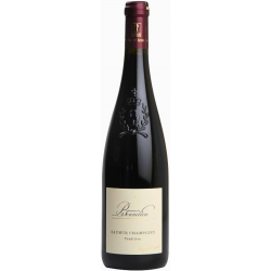 Saumur Champigny 2021 "Cuvée Tradition" -  Domaine La Bonnelière - 75cl