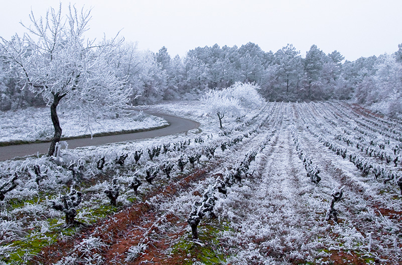 Climat Cahors