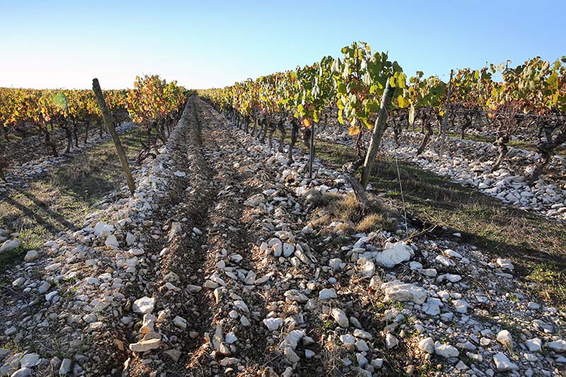 Terroir du causse